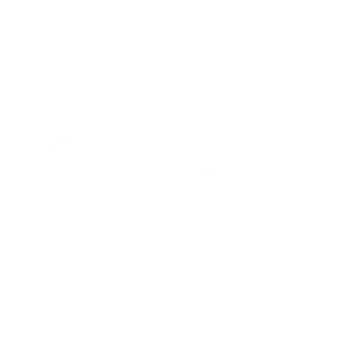 CoinTopper
